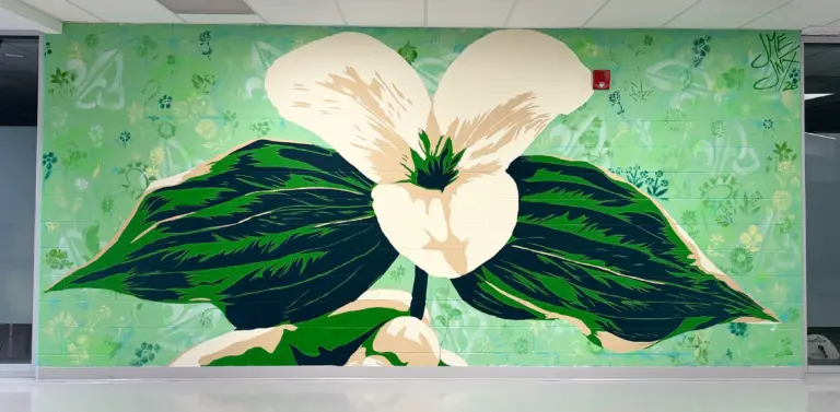 Grande murale représentant un trille blanc aux larges feuilles vert foncé, sur un fond vert pâle parsemé de petits motifs floraux.