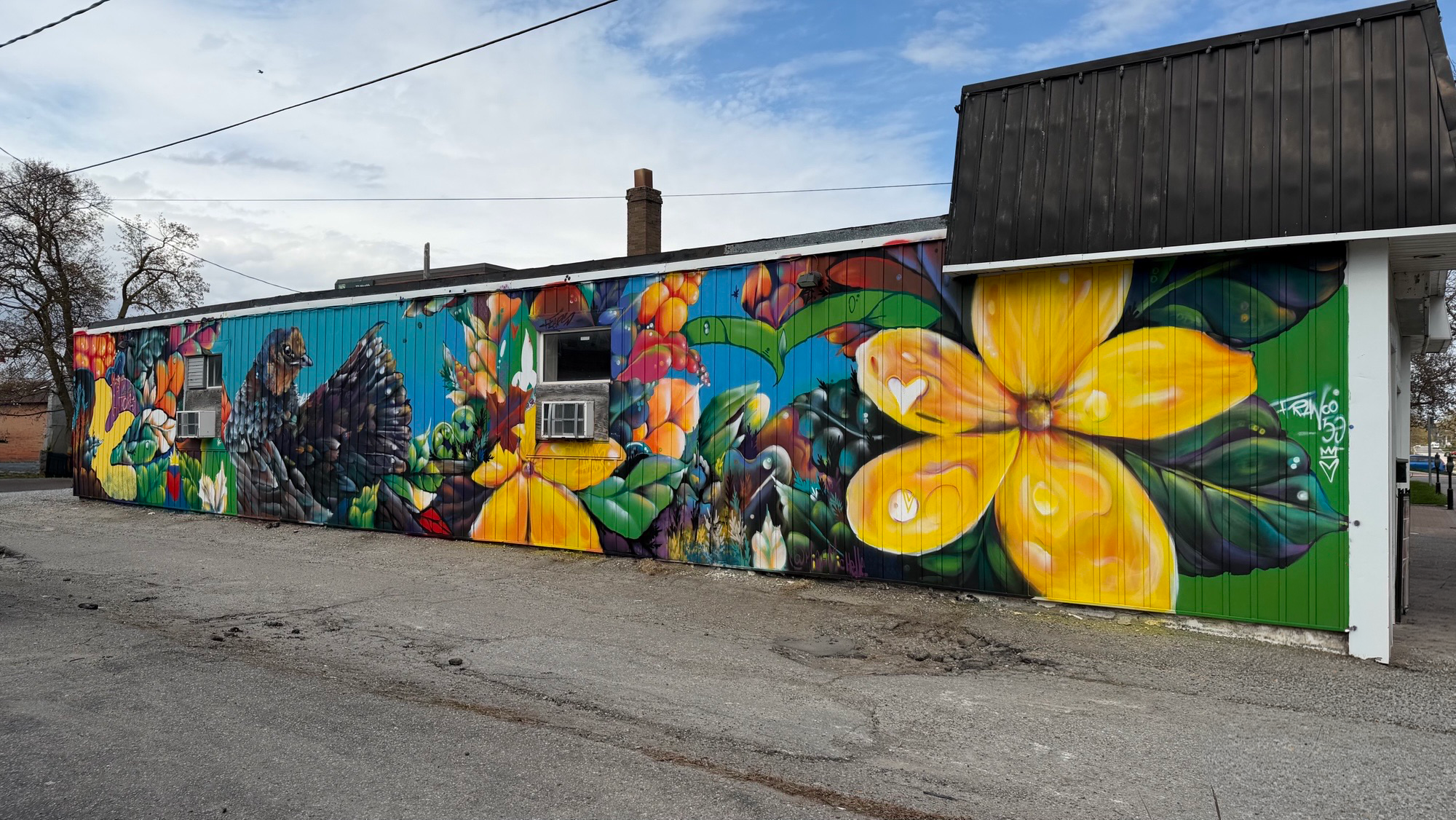 Grande murale extérieure colorée couvrant la façade d’un bâtiment, avec de grandes fleurs jaunes et orangées, des feuilles vertes et plusieurs oiseaux.