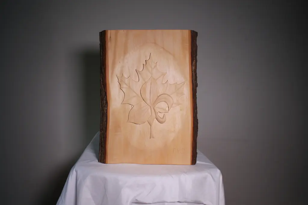 Ode à nos forêts